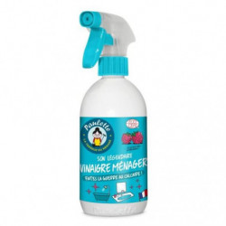 PAULETTE - Vinaigre ménager Framboise - spray de 500 ml  Sonico.fr