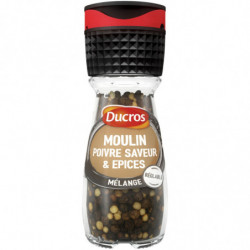 DUCROS - Poivre Saveur et Épices Assaisonnement - moulin de 30 g Sonico.fr