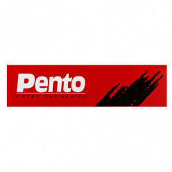 PENTO - Crème Coiffante - tube de 100 ml Sonico.fr