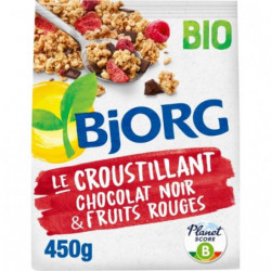 BJORG - Croustillant Chocolat Noir et Fruits Rouges Céréales Bio - paquet de 450 g Sonico.fr