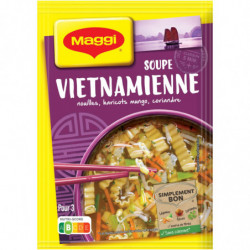 MAGGI - Soupe vietnamienne déshydratée nouilles soja coriandre sachet de 40 g Sonico.fr