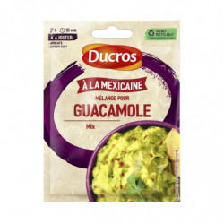 DUCROS - Mélange Pour Guacamole - Mélange d'épices - sachet de 20 g Sonico.fr