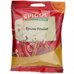 SPIGOL - Epices Poulet - Mélange d'épices - sachet de 90 g Sonico.fr