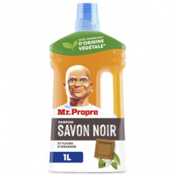 MR PROPRE - Tradition Savon de Noir Nettoyant Multi-Usages - bouteille de 1 l Sonico.fr