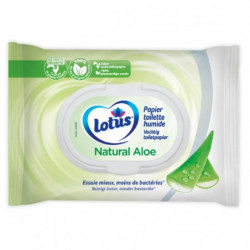 LOTUS - Papier toilette humide en lingettes Aloé Vera - paquet de 42 lingettes  Sonico.fr