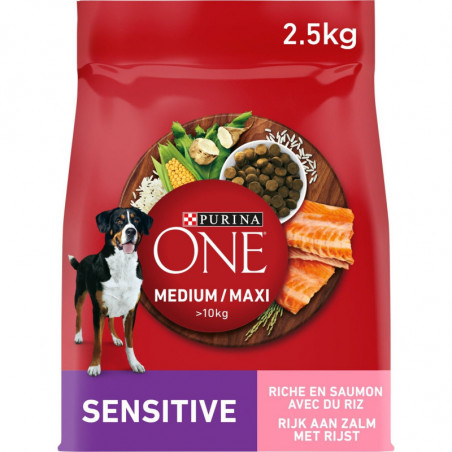 PURINA ONE - Sensitive Croquettes chien Medium Maxi Saumon riz - sac de 2,5 kg Sonico.fr