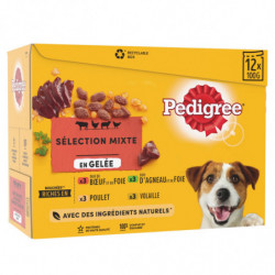 PEDIGREE - Sélection Mixte en gelée Pâtée pour chien Adulte au buf poulet agneau - boite de 12 sachets de 100 g Sonico.fr