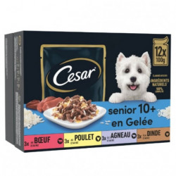 CESAR - Senior en gelée Pâté pour chien au buf poulet agneau dinde - boite de 12 sachets de 100 g Sonico.fr
