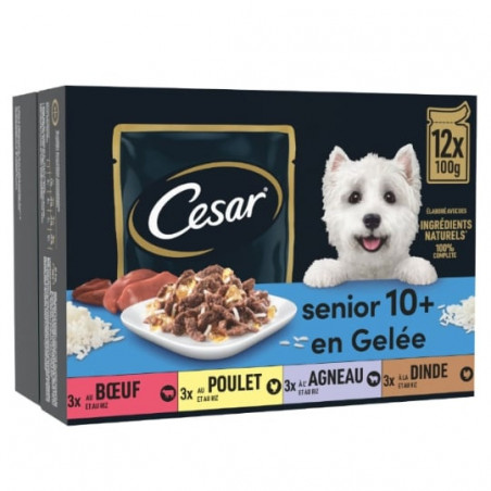 CESAR - Senior en gelée Pâté pour chien au buf poulet agneau dinde - boite de 12 sachets de 100 g Sonico.fr