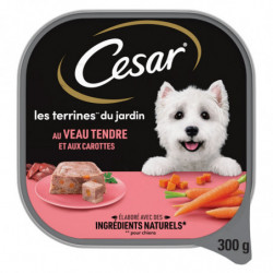 CESAR - Veau tendre et aux Carottes Pâtée pour chien - barquette de 300 g Sonico.fr