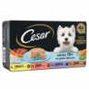 CESAR - Pâtée pour chien Senior au poulet buf dinde agneau - boite de 4 barquettes de 150 g Sonico.fr