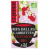 CLIPPER - Mes belles Gambettes Infusion bio aux arômes de fraise et fleur de sureau - boite de 20 Sachets Sonico.fr