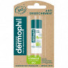 DERMOPHIL - Stick Lèvres Bio Anti-Dessèchement Soin des lèvres - tube de 4 g Sonico.fr