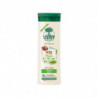 L'ARBRE VERT - Détox Shampooing Cheveux gras Raisin Thé vert - flacon de 250 ml Sonico.fr
