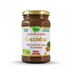 RIGONI DI ASIAGO - Nocciolata Pâte À Tartiner Aux Noisettes - pot de 250 g Sonico.fr