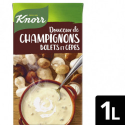 KNORR - Soupe Douceur Champignons Bolets et Cèpes - brique de 1 l Sonico.fr