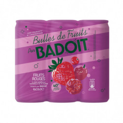 BADOIT - Fruits Rouges Eau gazeuse aromatisée - pack de 6 canettes de 33 cl Sonico.fr