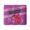 BADOIT - Fruits Rouges Eau gazeuse aromatisée - pack de 6 canettes de 33 cl Sonico.fr