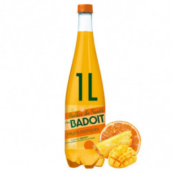 BADOIT - Eau gazeuse Aromatisée Fruits Exotiques - bouteille de 1 l Sonico.fr