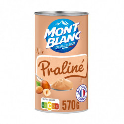 MONT BLANC - Crème Dessert Au Praliné - boite de 570 g Sonico.fr
