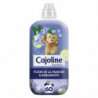 CAJOLINE - Créations Assouplissant fraîcheur passion et bergamote - 60 Lavages - 1,5 L  Sonico.fr