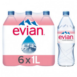 EVIAN - Eau minérale naturelle - pack de 6 bouteilles de 1 L Sonico.fr